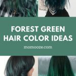 20+ Gorgeous Forest Green Hair Looks to Inspire Your Makeover