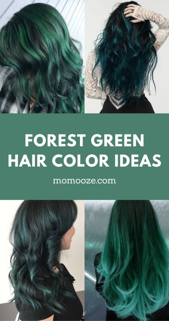 20+ Gorgeous Forest Green Hair Looks to Inspire Your Makeover